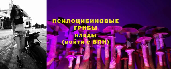 ALPHA PVP Богданович