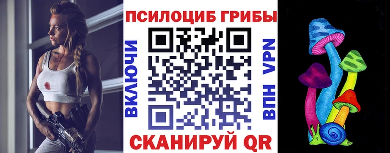 Псилоцибиновые грибы Psilocybe  как найти наркотики  Котово 